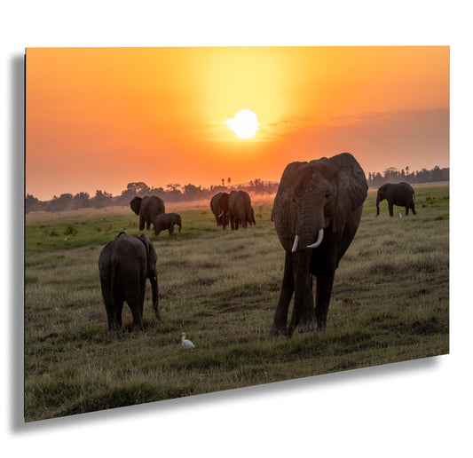 African Sunset Elephant Print – Kenya Safari Wall Art Canvas with Wildlife Silhouette