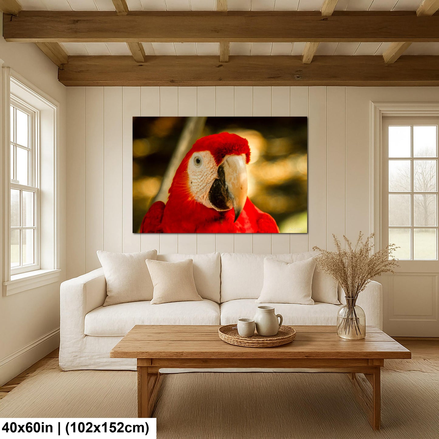 Scarlet Macaw, Close-Up Bird Portrait | Honduras Wildlife, Caribbean Parrot | Glossy Photo, Canvas | 8x10–16x20