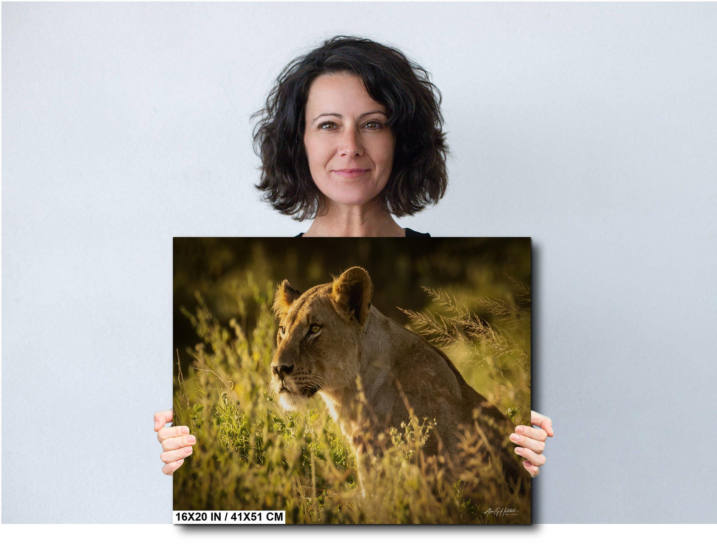 Lioness Art Print – Majestic Kenya Safari Photography | Wildlife Canvas Art