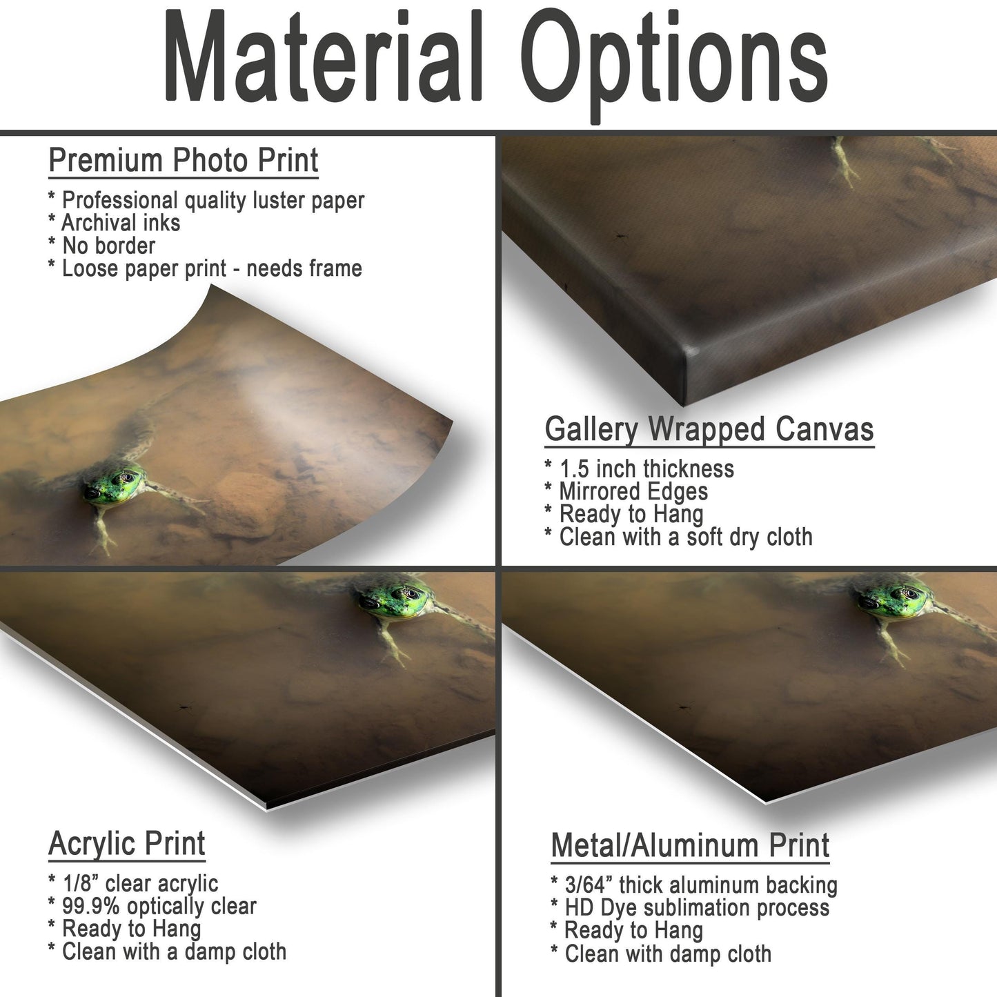 Frog Photo Print - Little Pond Wildlife Photography Print | Hudson Valley Art Canvas