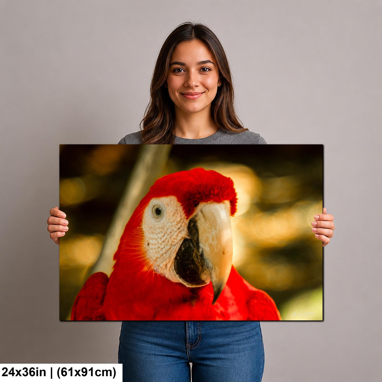 Scarlet Macaw, Close-Up Bird Portrait | Honduras Wildlife, Caribbean Parrot | Glossy Photo, Canvas | 8x10–16x20
