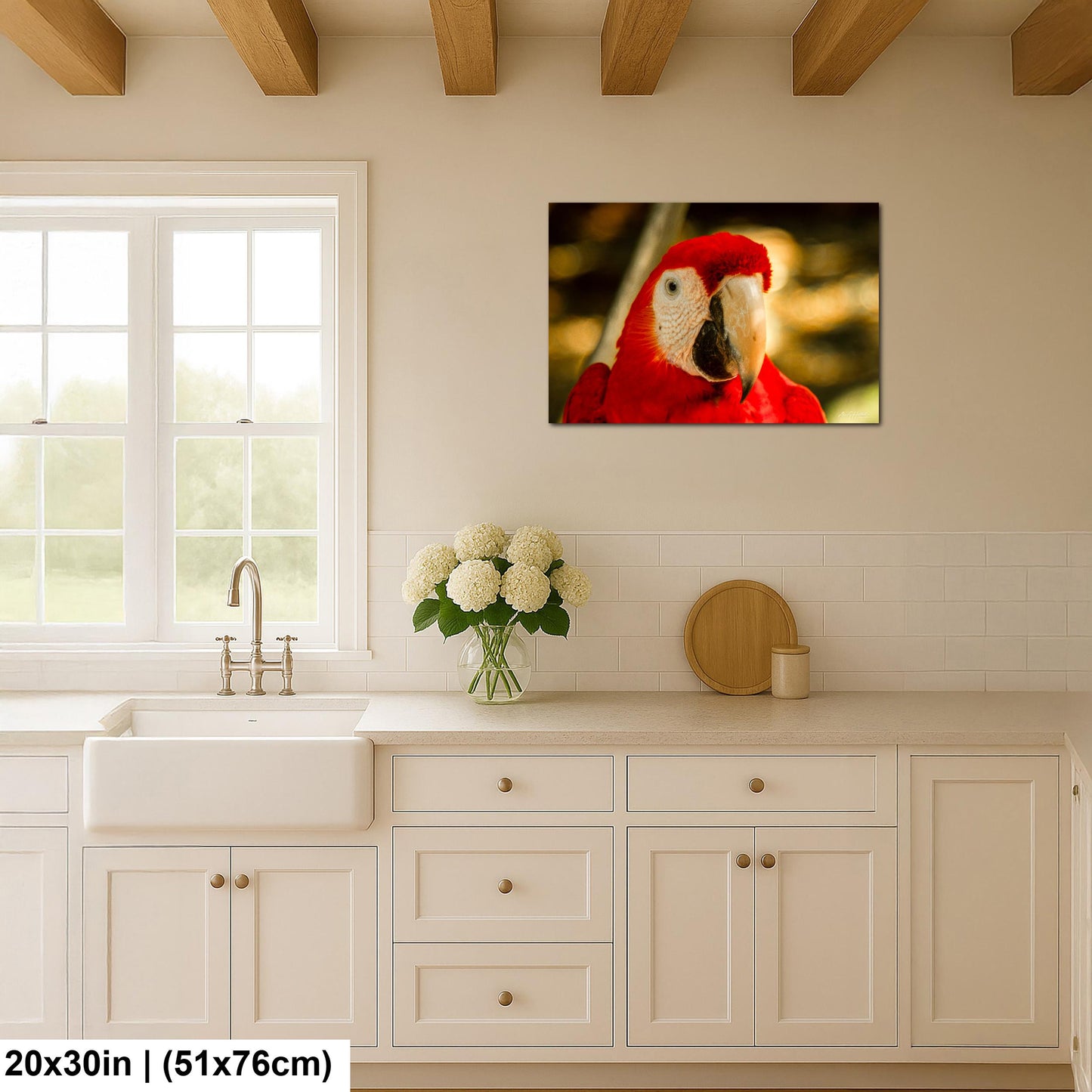 Scarlet Macaw, Close-Up Bird Portrait | Honduras Wildlife, Caribbean Parrot | Glossy Photo, Canvas | 8x10–16x20