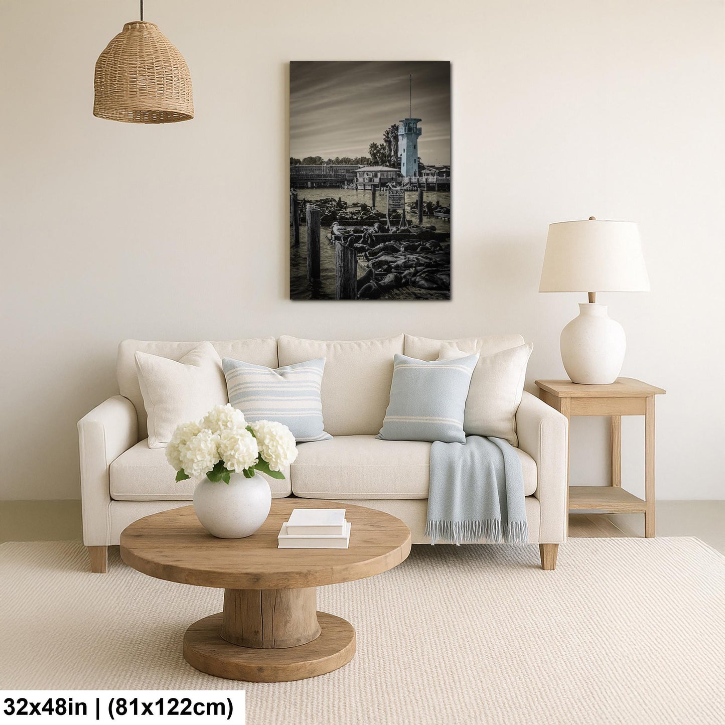 Pier 39 Sea Lions – San Francisco Bay Coastal Wildlife Glossy Photo Print