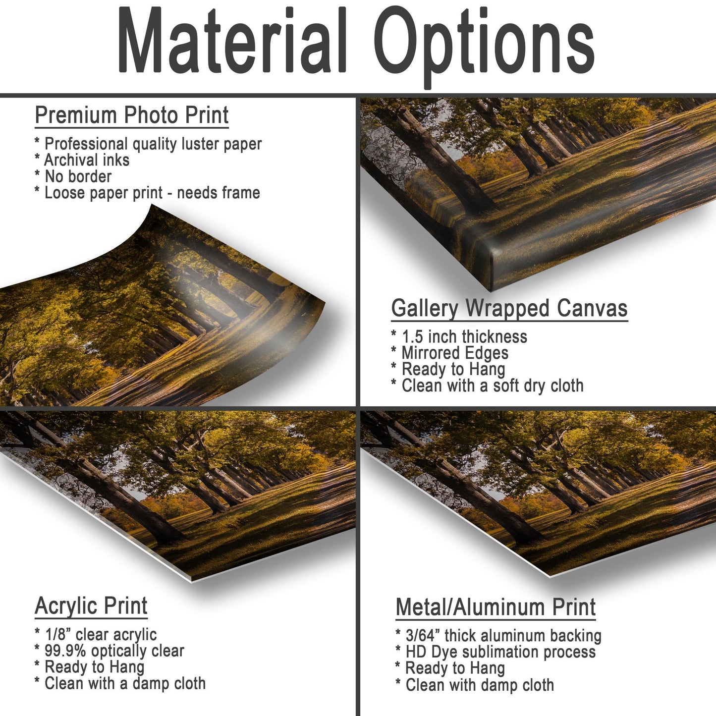 New Paltz Photography Print – Hudson Valley Wall Art | Sunlit Country Scene Canvas