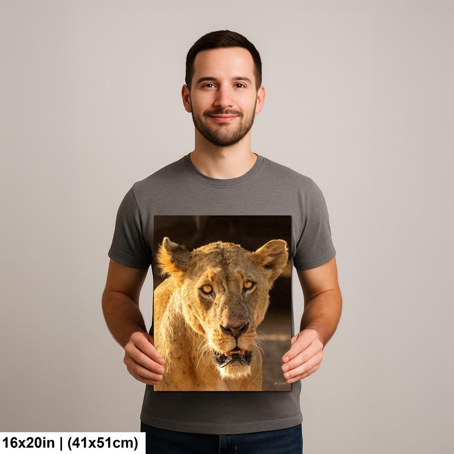 Lioness Safari Art, Scarred Big Cat Portrait - Nairobi Park Photograph, Fine Prints, Metal Canvas Acrylic