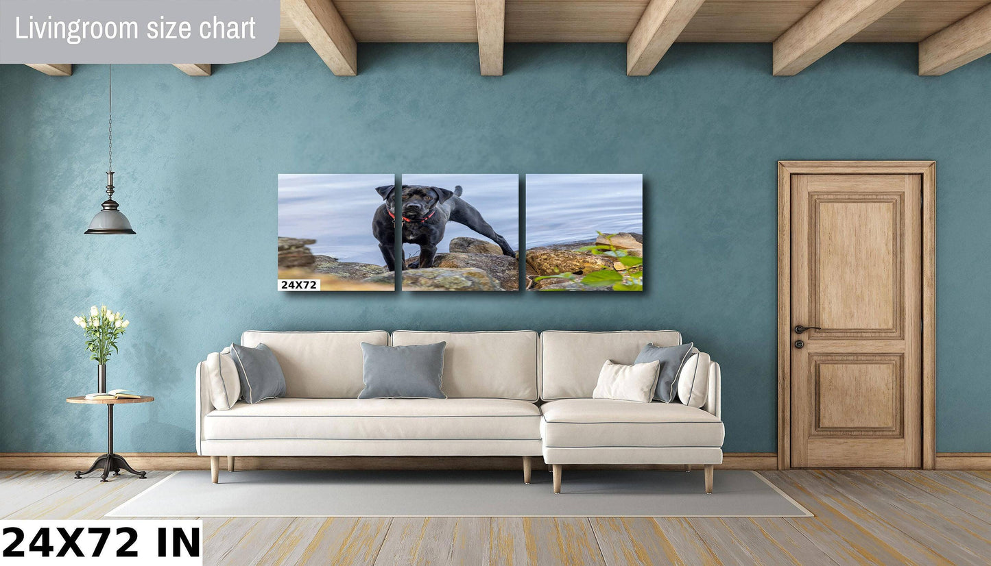 Modern Dog Wall Art - Black Lab River Scene | Acrylic Pet Canvas Print