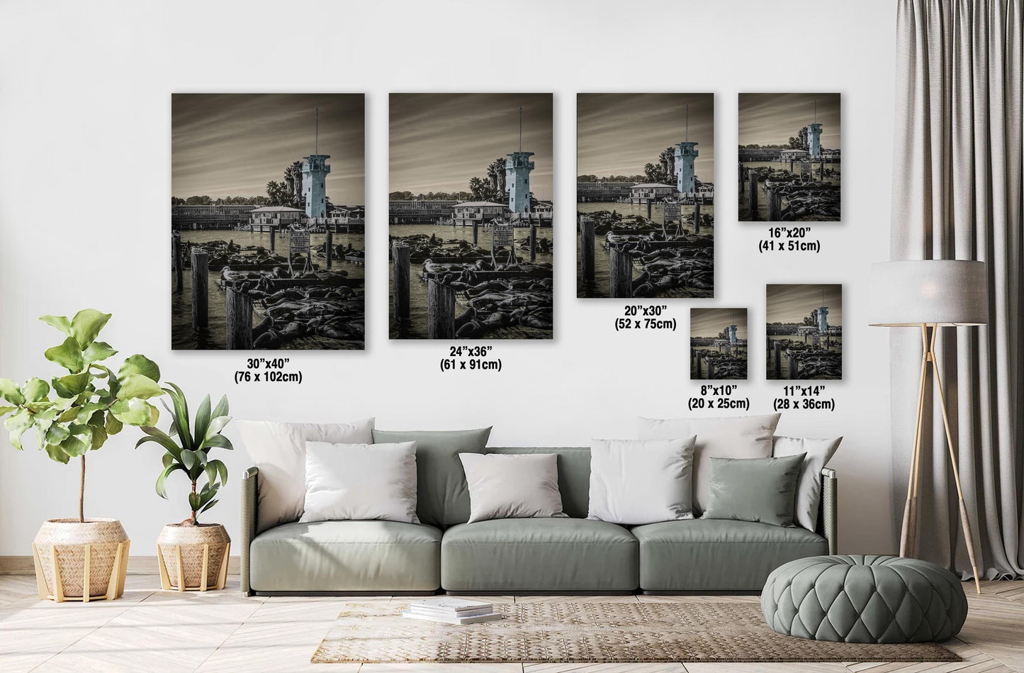 Pier 39 Sea Lions – San Francisco Bay Coastal Wildlife Glossy Photo Print