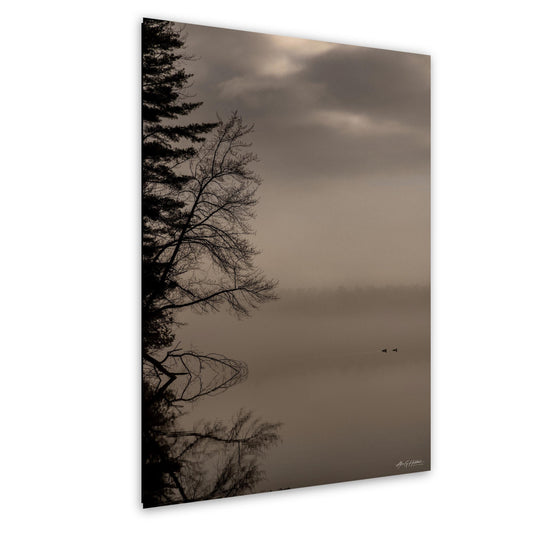 Wood Ducks, Misty Morning Wildlife Photograph | Loon Lake Dawn Print, Glossy Paper, 8x10-16x20