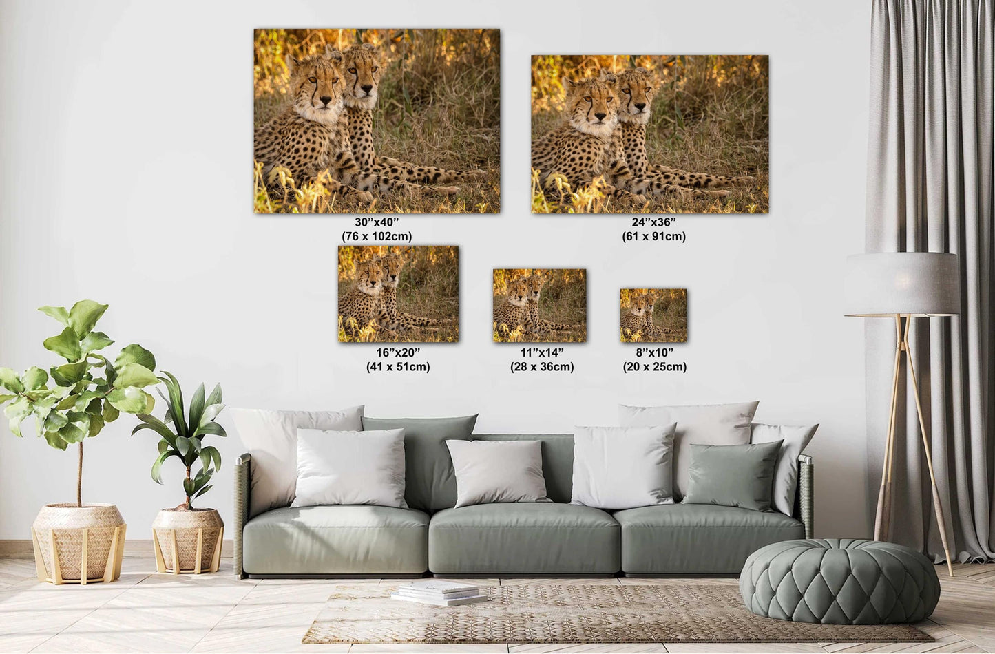 Kenya Safari Art Print – Cheetah Canvas Print | Luxury Wildlife Decor