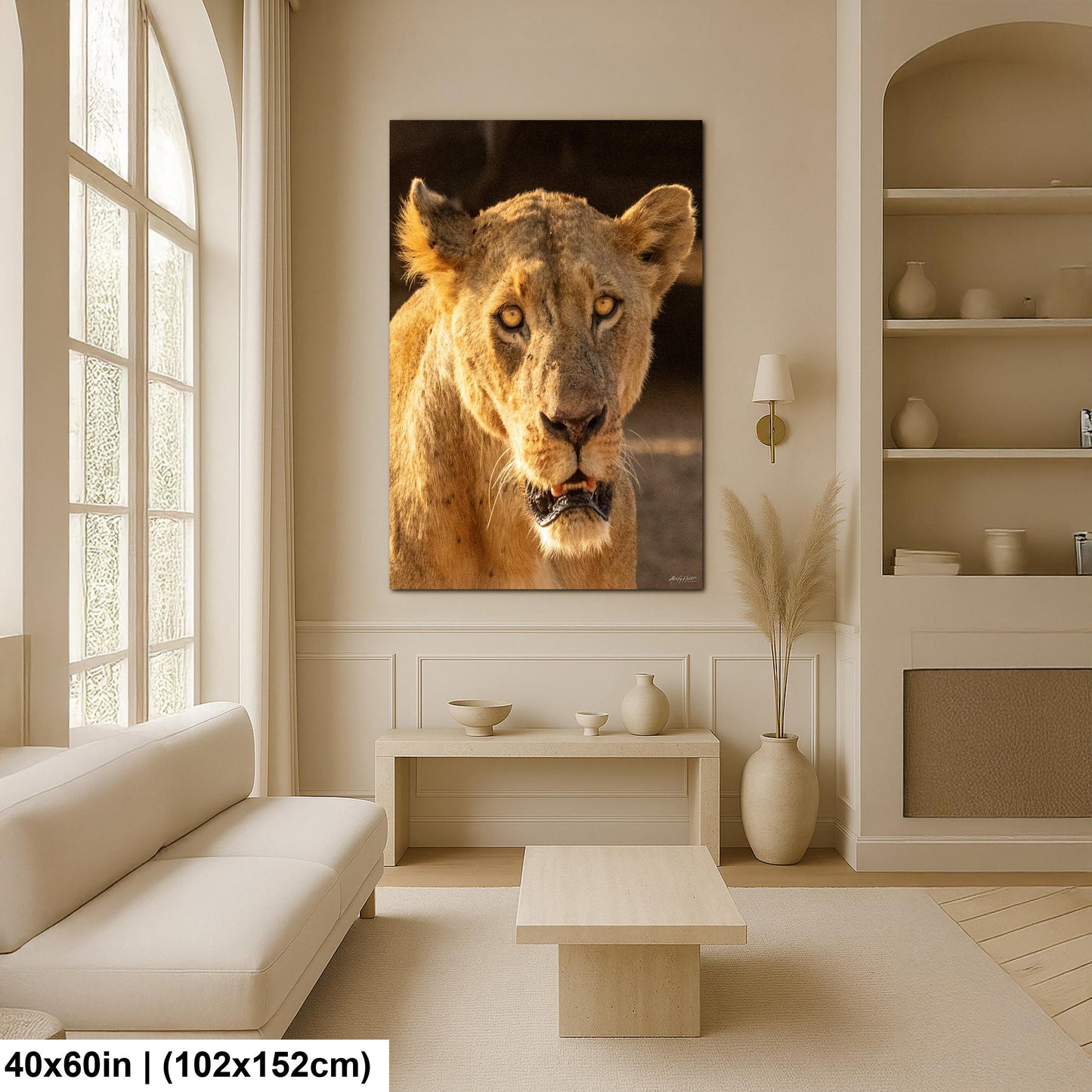 Lioness Safari Art, Scarred Big Cat Portrait - Nairobi Park Photograph, Fine Prints, Metal Canvas Acrylic
