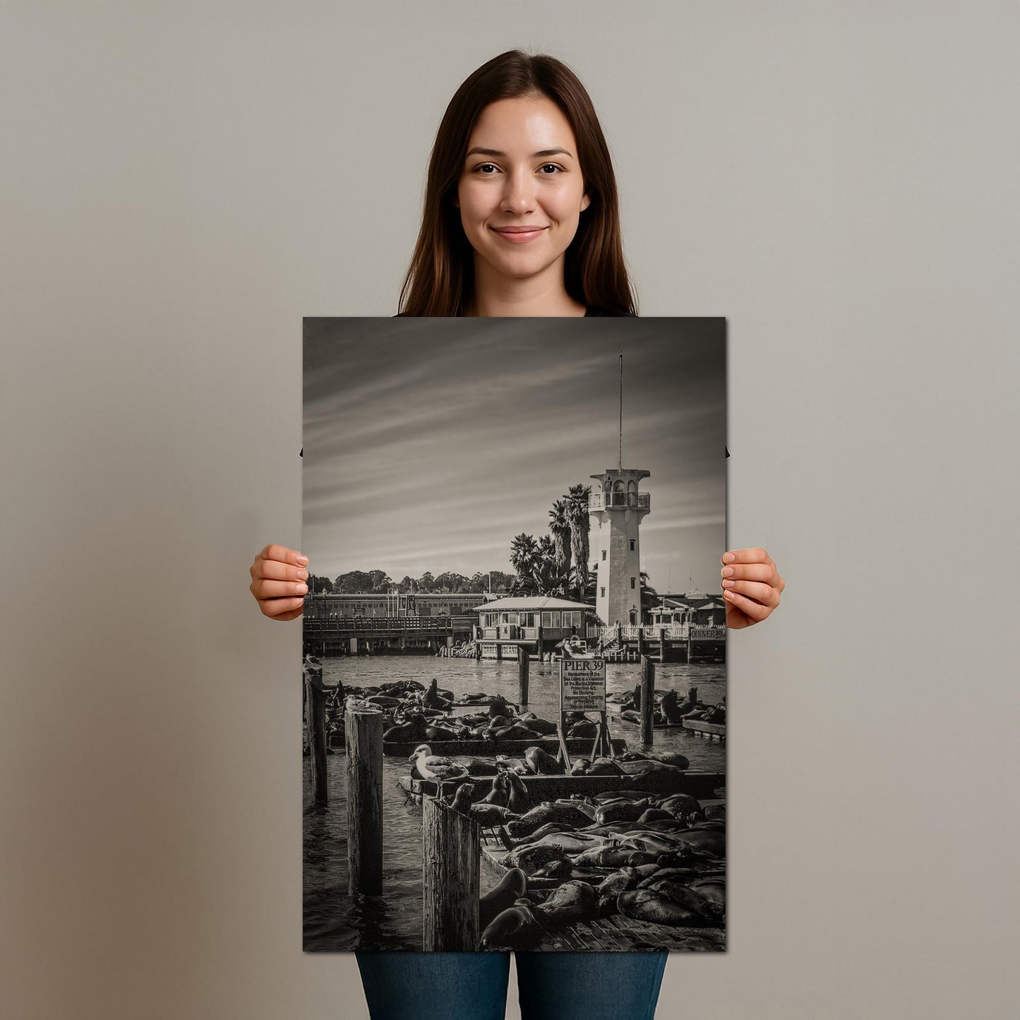 Pier 39 Sea Lions - Historic Pier 39 Coastal Wildlife Photo Print
