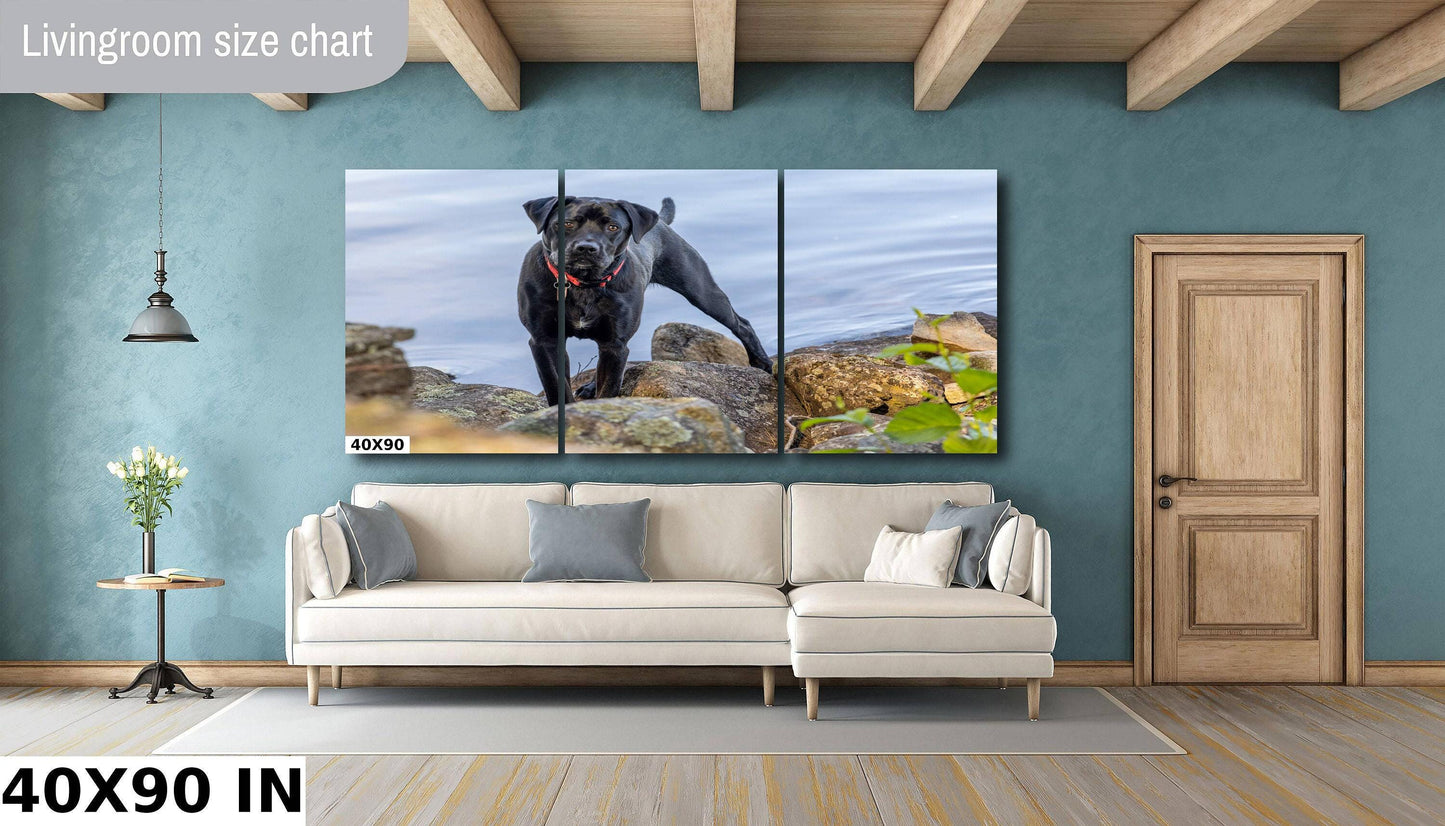 Modern Dog Wall Art - Black Lab River Scene | Acrylic Pet Canvas Print