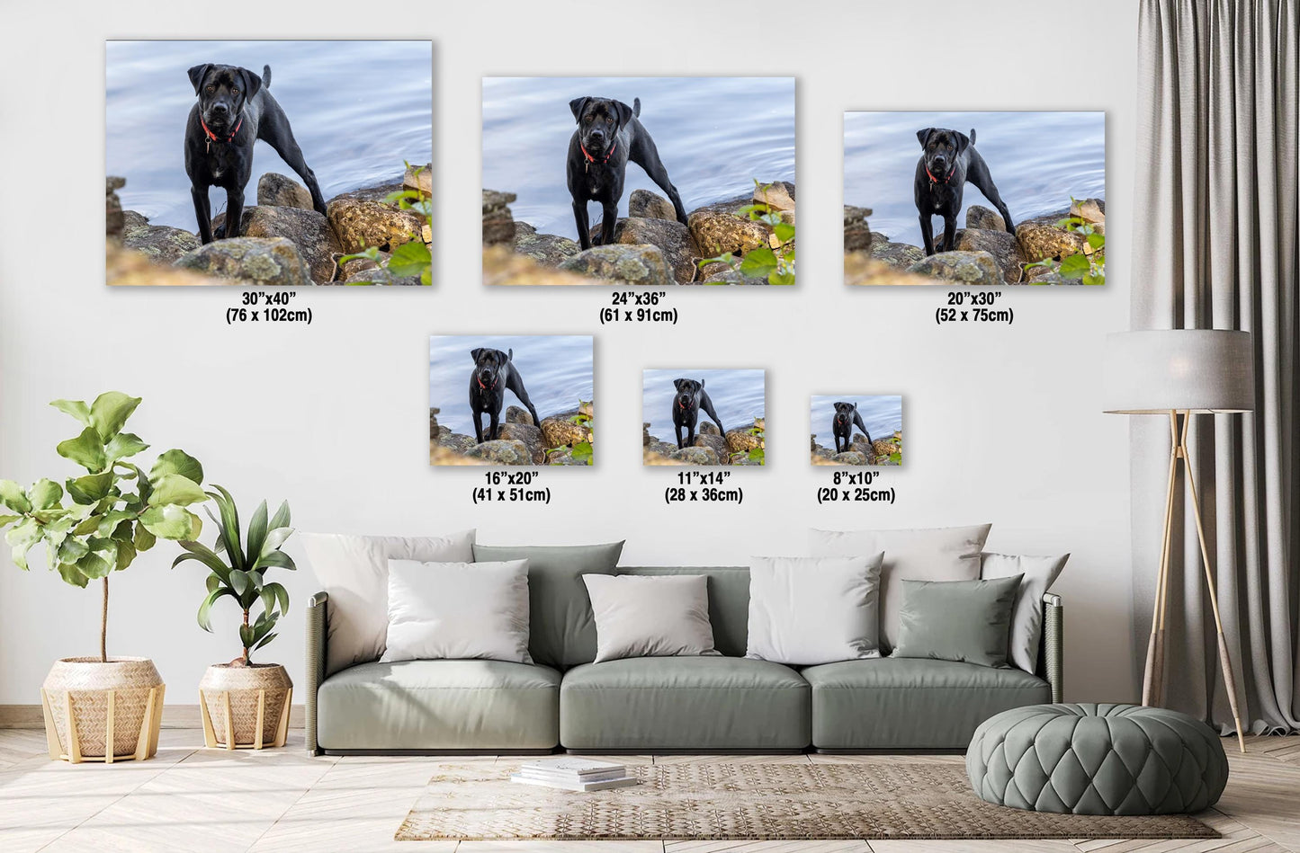 Modern Dog Wall Art - Black Lab River Scene | Acrylic Pet Canvas Print