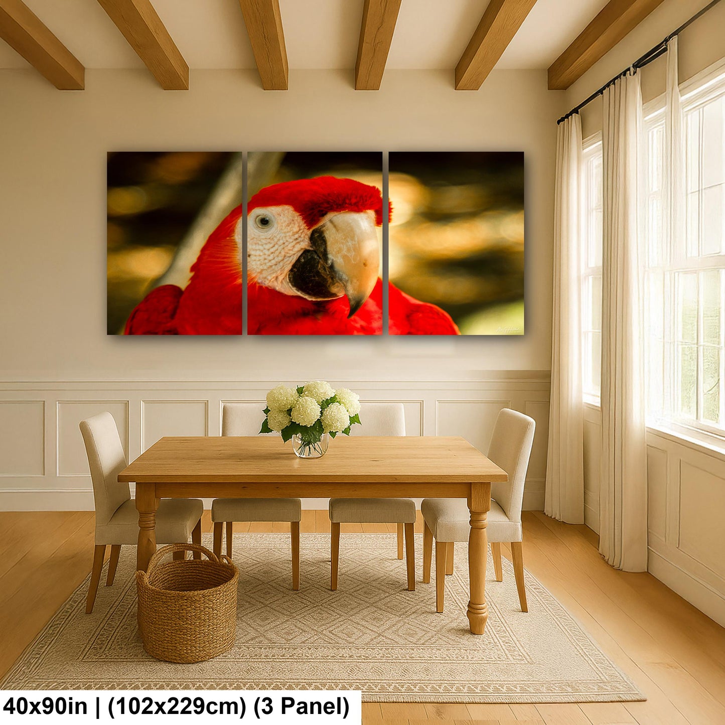 Scarlet Macaw, Close-Up Bird Portrait | Honduras Wildlife, Caribbean Parrot | Glossy Photo, Canvas | 8x10–16x20