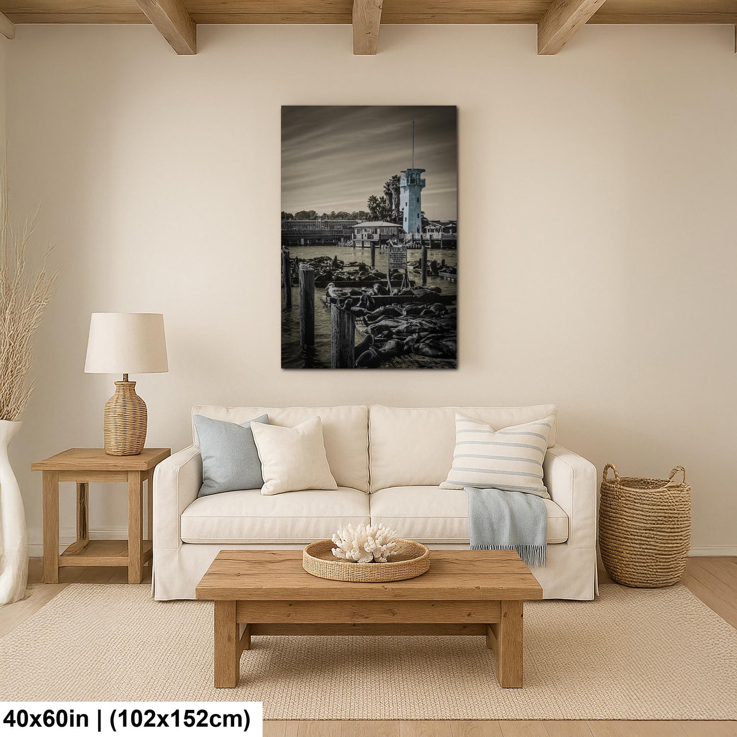 Pier 39 Sea Lions – San Francisco Bay Coastal Wildlife Glossy Photo Print