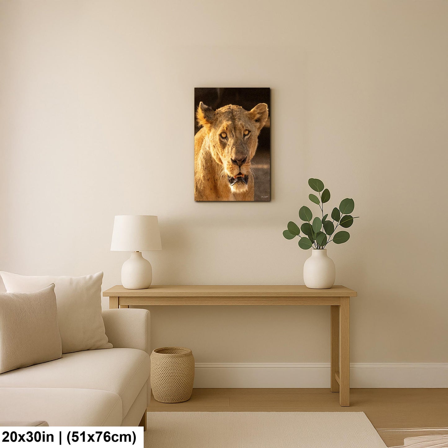 Lioness Safari Art, Scarred Big Cat Portrait - Nairobi Park Photograph, Fine Prints, Metal Canvas Acrylic
