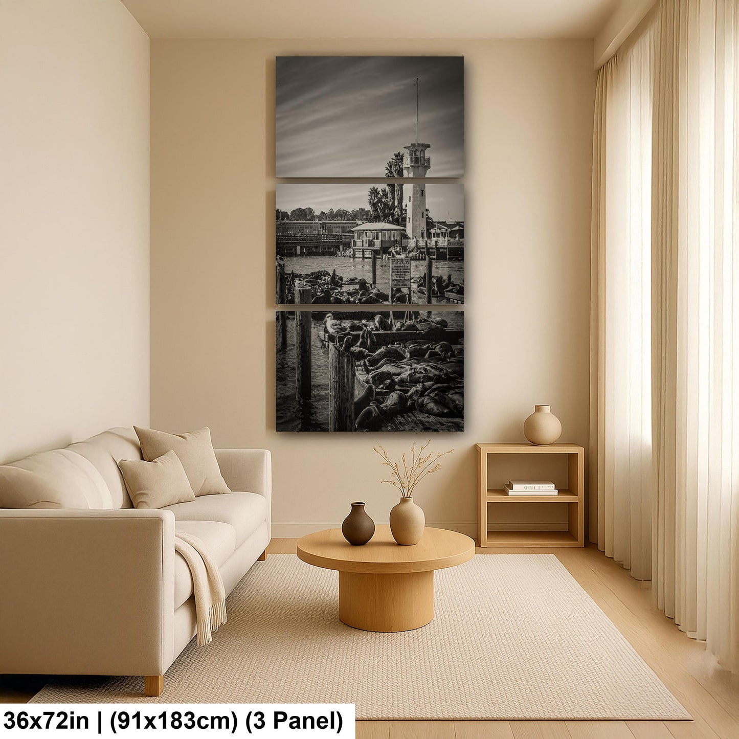 Pier 39 Sea Lions - Historic Pier 39 Coastal Wildlife Photo Print