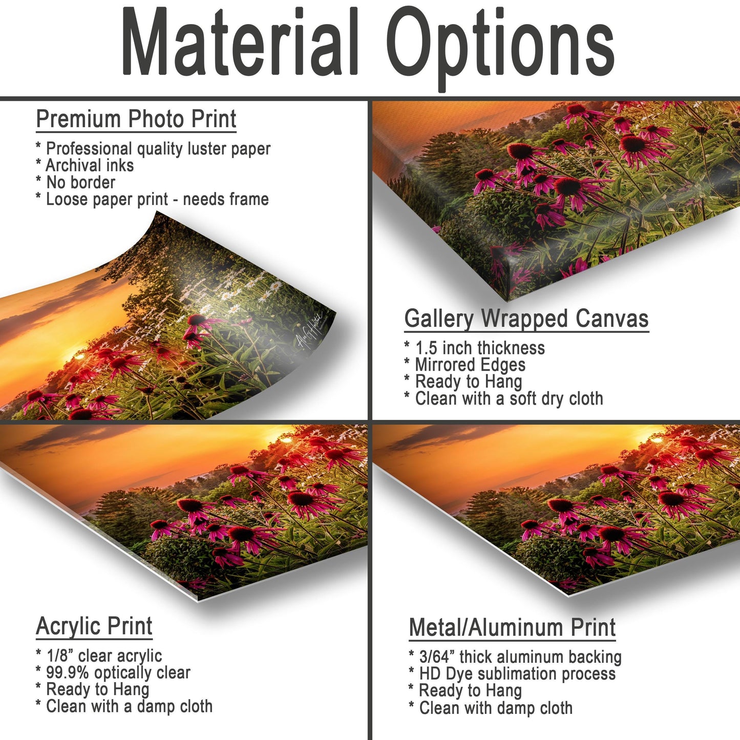 Sunset Flowers Canvas Print - Vibrant Wildflower Wall Art | Ready to Hang Nature Decor