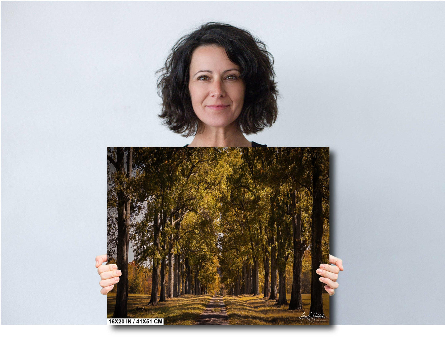 New Paltz Photography Print – Hudson Valley Wall Art | Sunlit Country Scene Canvas