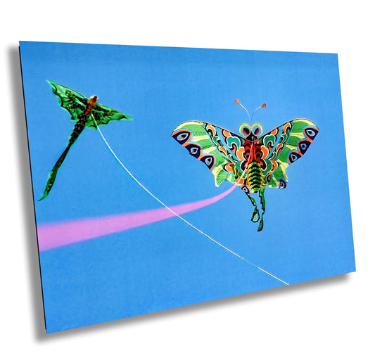 Golden Gate Kite Photo – San Francisco Beach Art | Windswept Coastal Wall Decor