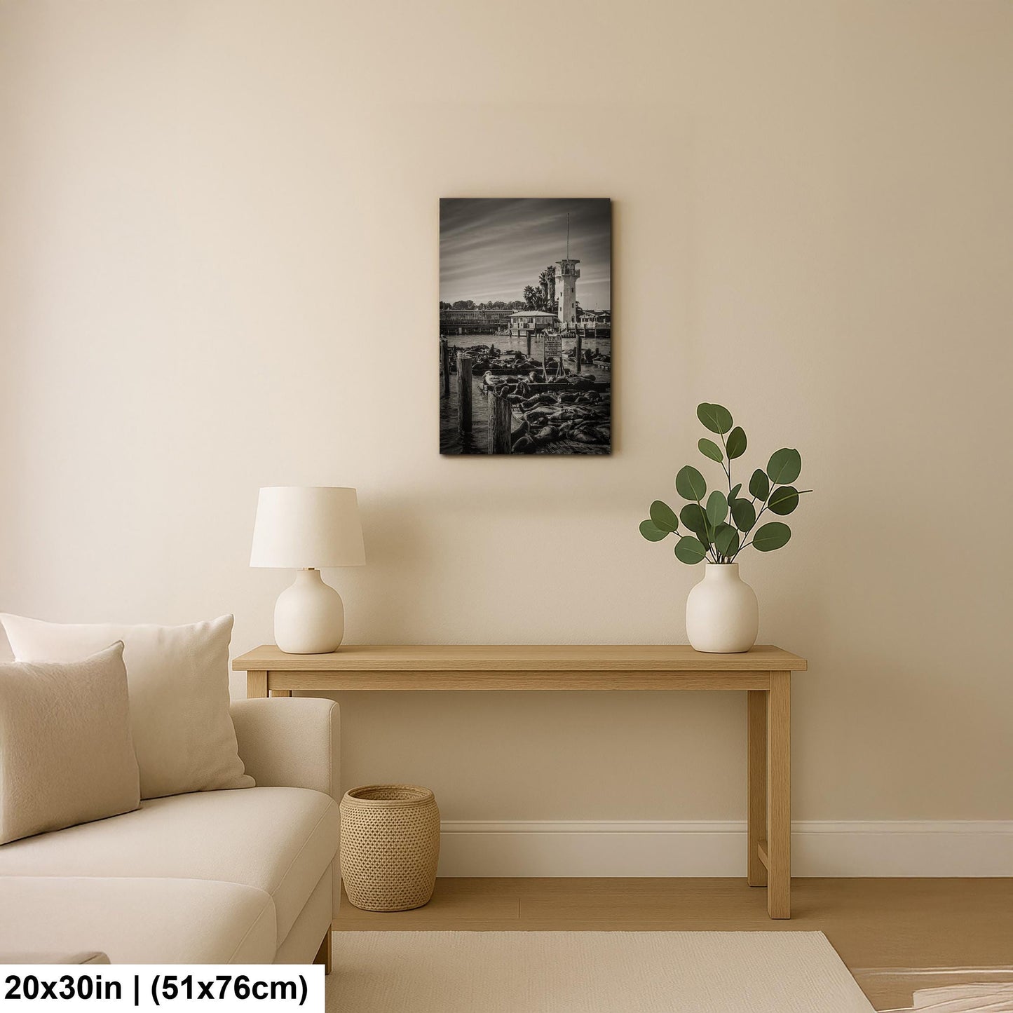 Pier 39 Sea Lions - Historic Pier 39 Coastal Wildlife Photo Print