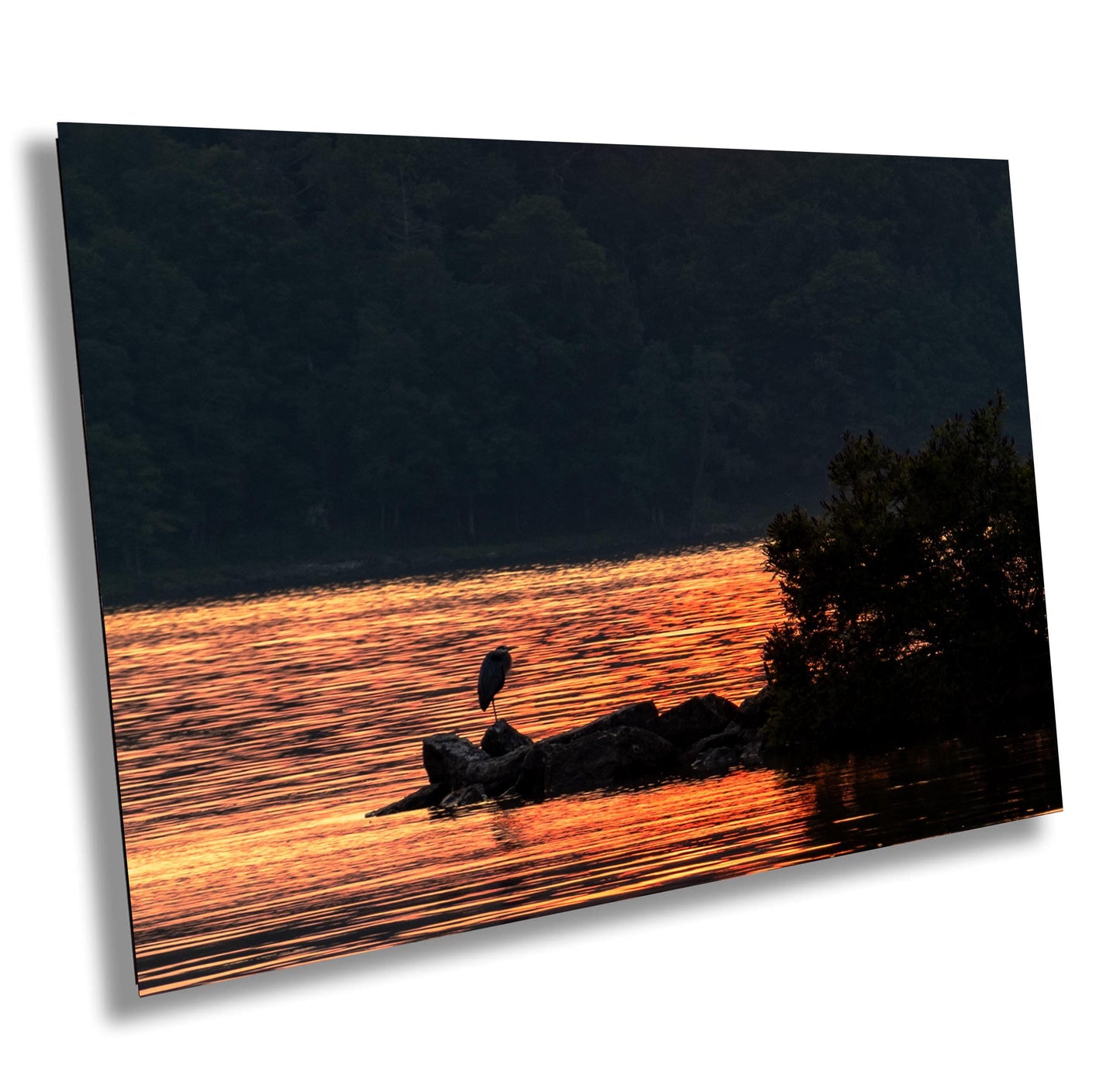 Blue Heron Canvas Print - Vibrant Wildlife Wall Art | Hudson River Art Sunset