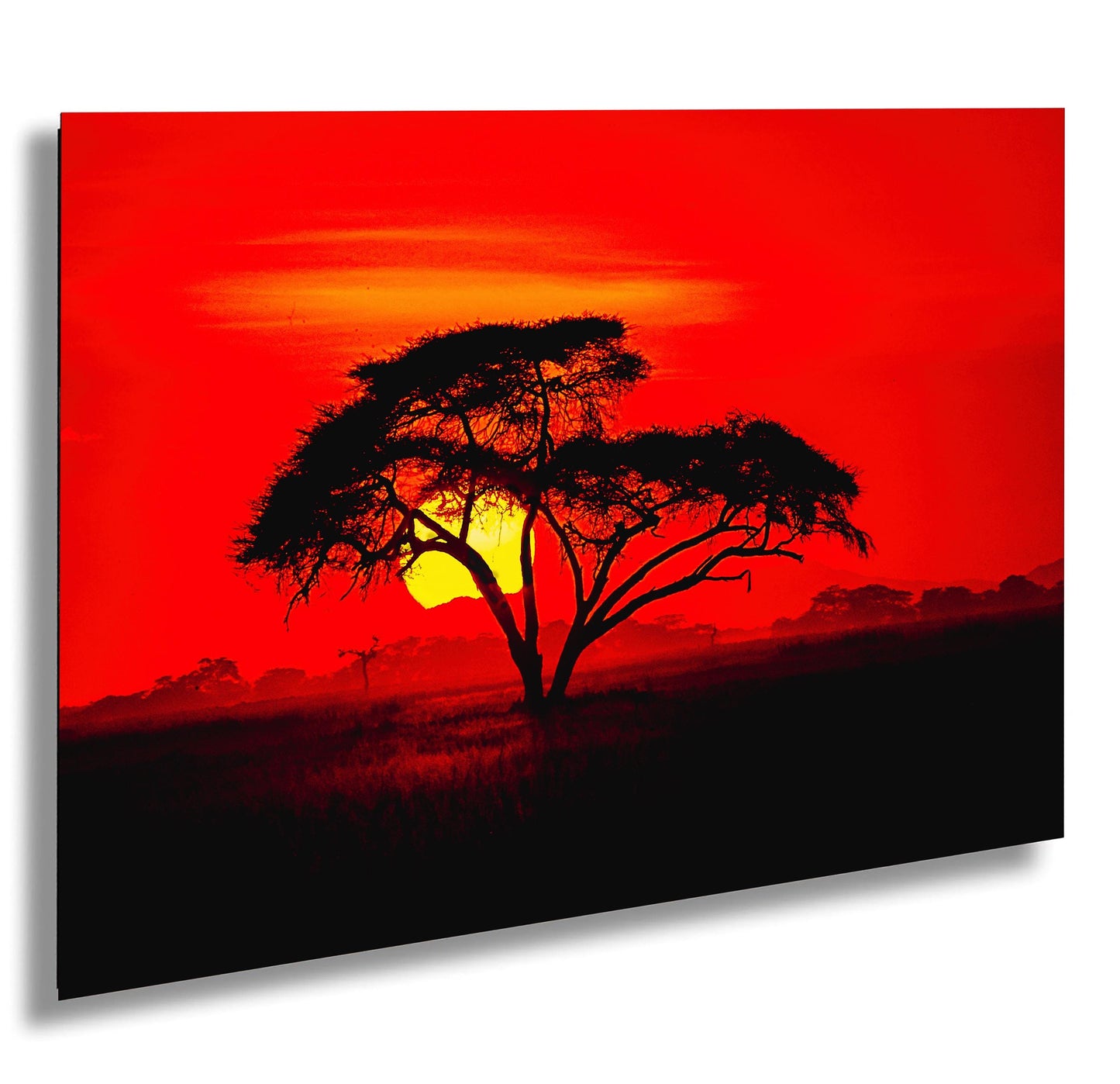Amboseli Sunset Canvas | Kenya National Park Art - Wildlife Safari Wall Decor