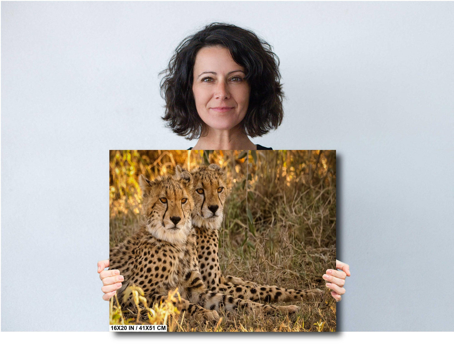 Kenya Safari Art Print – Cheetah Canvas Print | Luxury Wildlife Decor