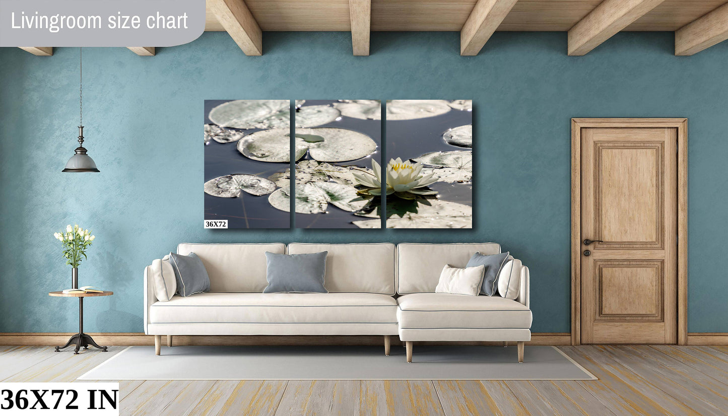 Water lillies on Chateaugay Lake water reflection flowers colors metal print canvas print outdoor wall art