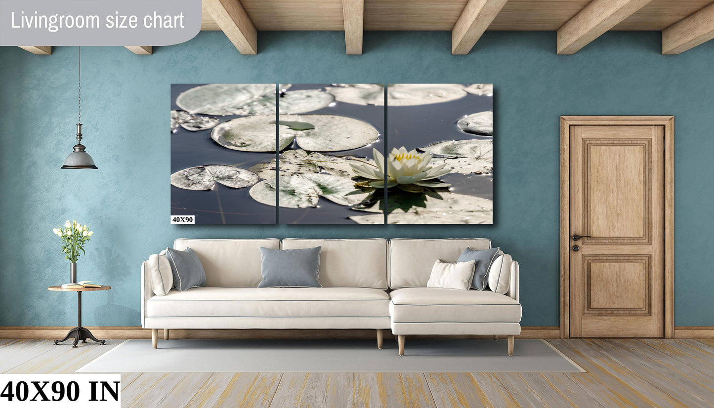 Water lillies on Chateaugay Lake water reflection flowers colors metal print canvas print outdoor wall art