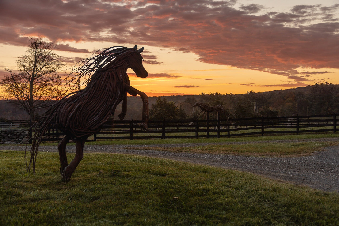 Sunrise on the horsefarm Hudson Valley wall art sunlight canvas print metal print