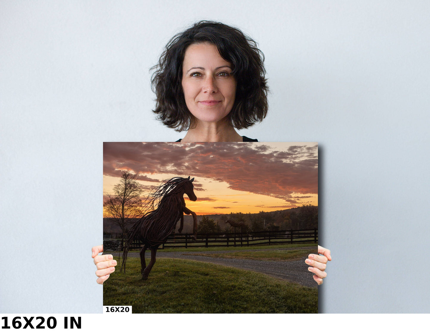 Sunrise on the horsefarm Hudson Valley wall art sunlight canvas print metal print