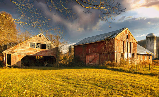 Abandoned barn upstate New York  Featured in a movie canvas print metal print country