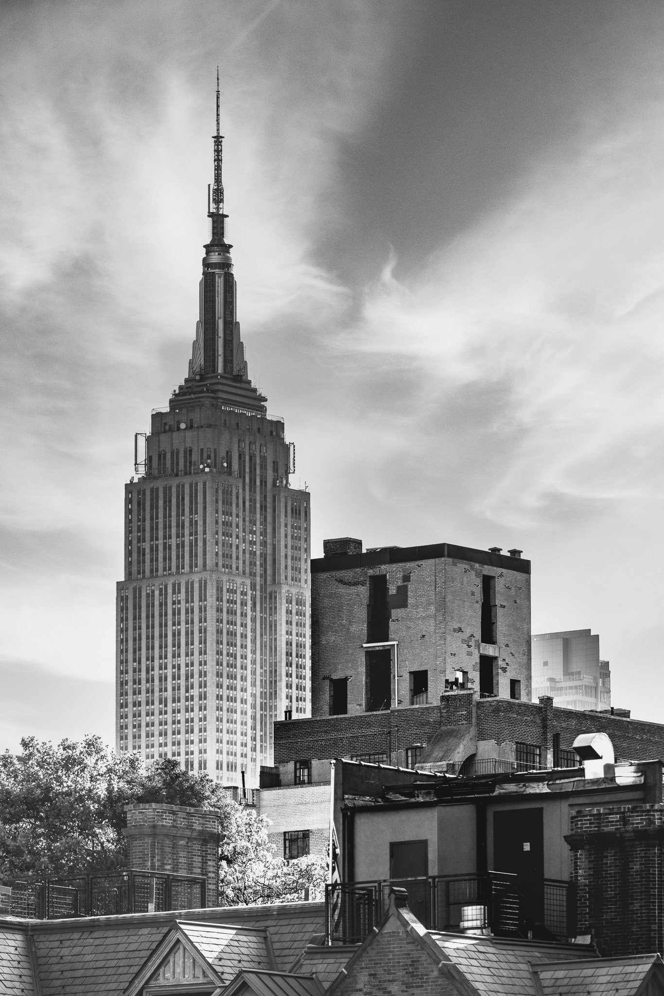 New york's Most famous Icon from at the high line metal print canvas print Black and white photography night poster