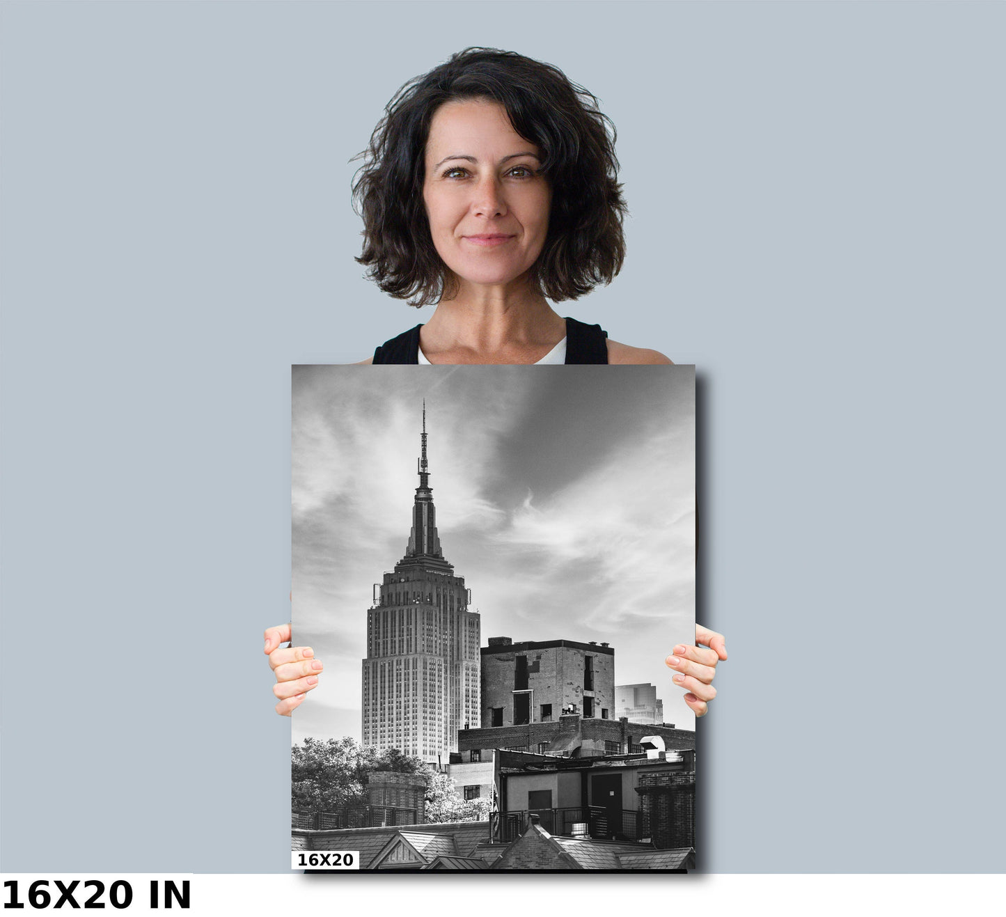 New york's Most famous Icon from at the high line metal print canvas print Black and white photography night poster