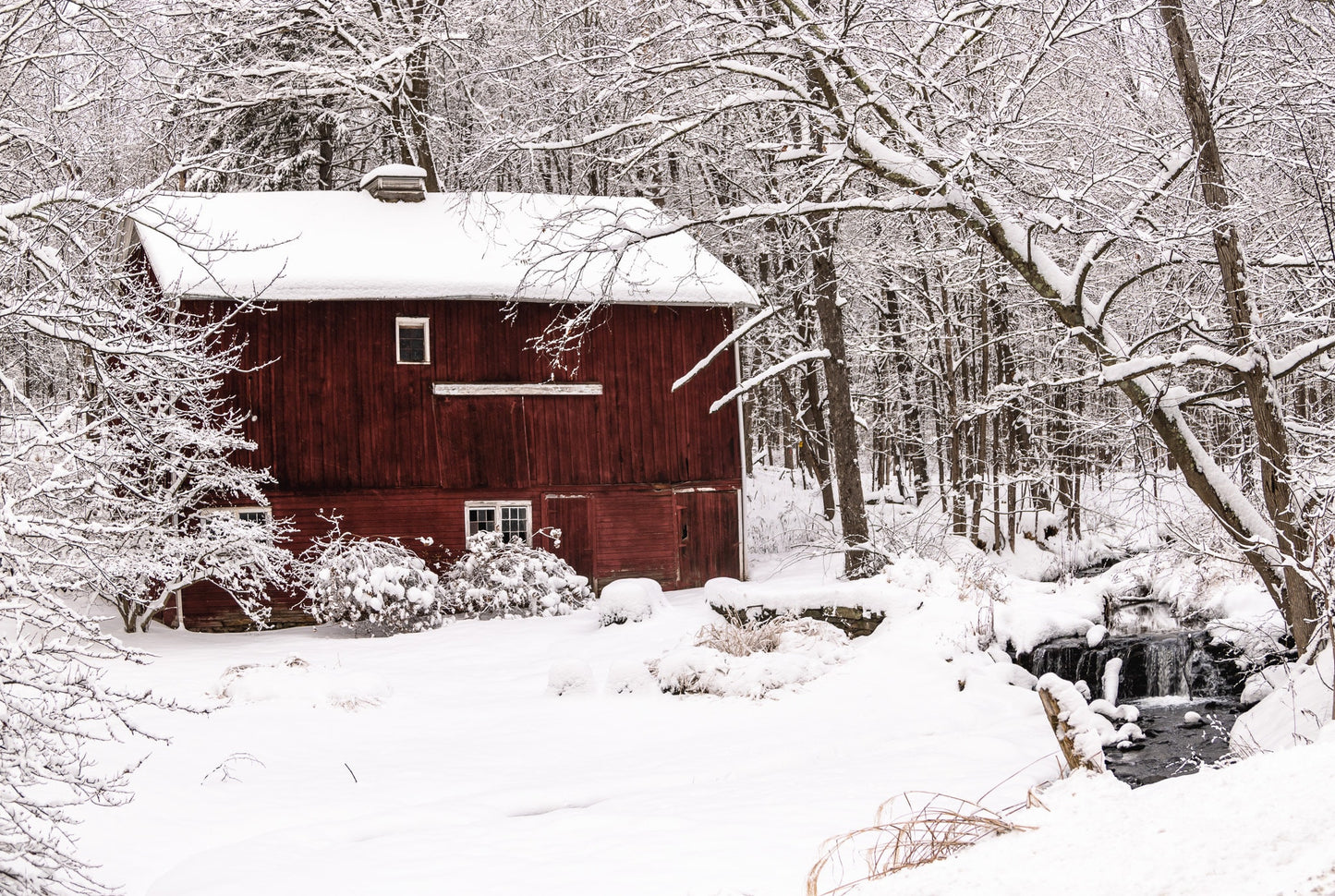 Snow on an old barn in woods Dutchess county NY  cannvas print metal print country wall art