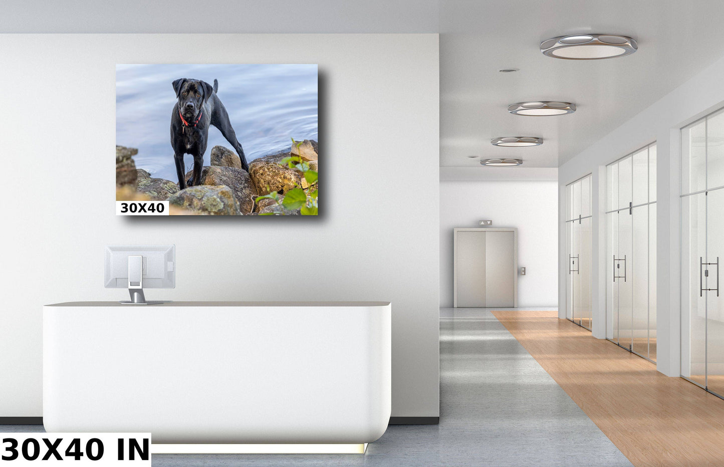 Dog by the river. Color Hudson river metal print canvas print acrylic print wall art for dog lovers